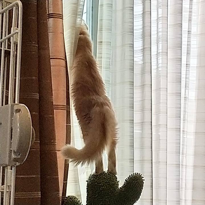 09c0224f 1c44 450b a974 2dee352104da 1611723622559