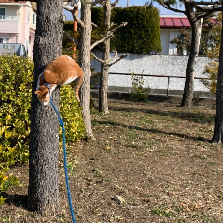 09c030e9 9cbd 43dc a72c 95ccc22cb7dc 1583541198971