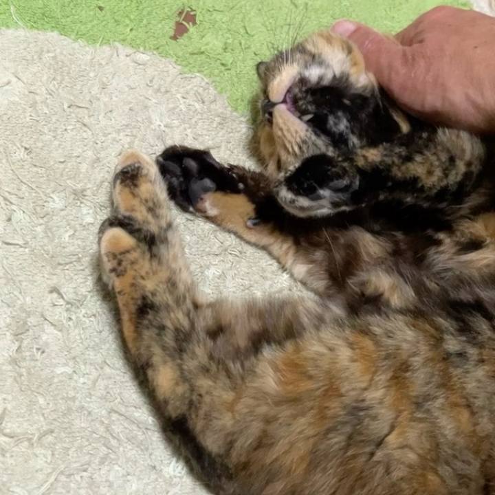 09c07d3b f2ec 4055 8baf eea054036842 1737632928353