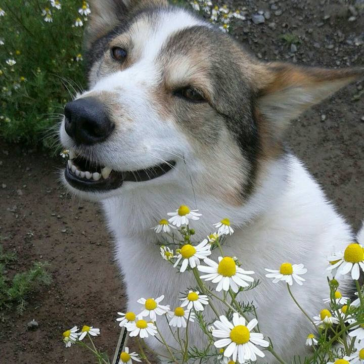 09c0cb46 29c2 4158 b51d 5a97c2e44f15 1620480283054