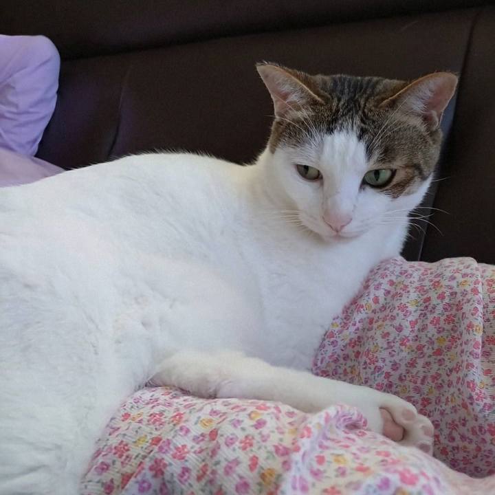 09c0ef55 20ee 4e6c bc2b 2d168eb269ea 1757044034463