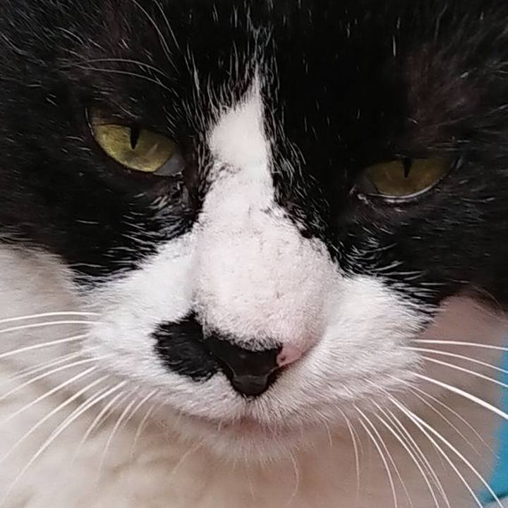 09c10a0b 2af7 46c2 b791 a4934486509b 1526342344453