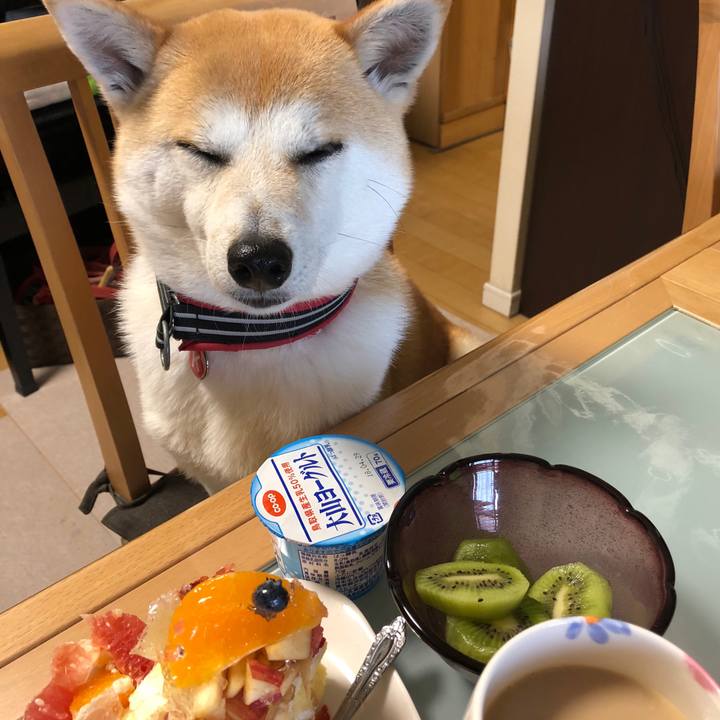 09c140c2 95c9 48f4 8fed f68747c9c48a 1524183967560