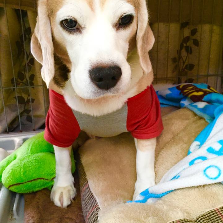 09c14cea fac9 4b84 8300 e9dbc560de1e 1573020843939