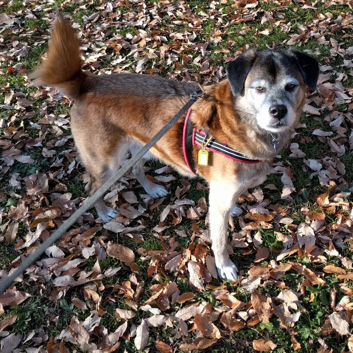 09c17a5e fcb4 4d52 9011 e8013ffa1b68 1546129900956