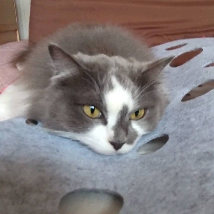 09c1bfb1 9118 40c5 abcf 40f010962f13 1713692982414