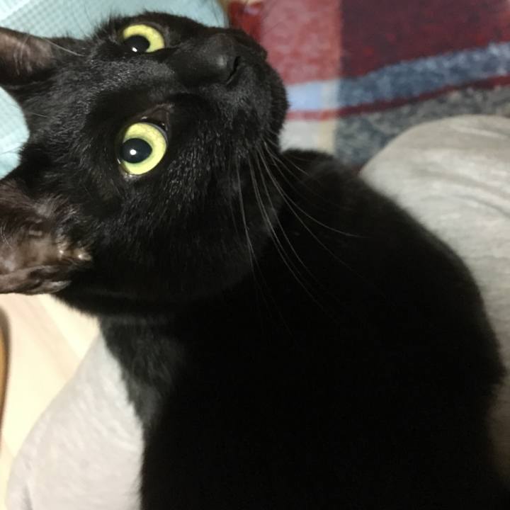 09c1cb84 58ed 42f4 999f 1479800f61ab 1517718445056