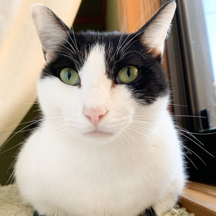 09c20979 5871 4f0d a7dd 3597abe34dbc 1573522862847