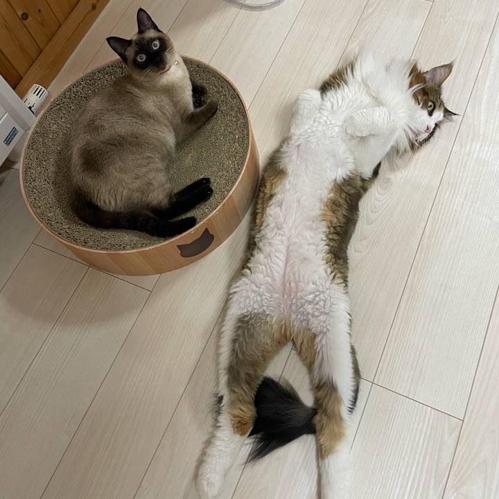 09c23bbf addc 45a3 b67b fa51aeff5879 1723844463825