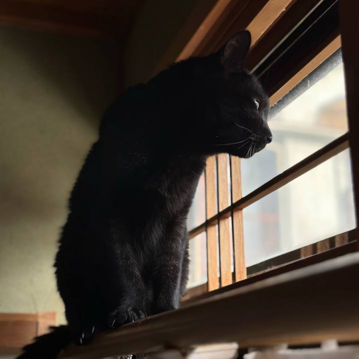 09c25c9a 168c 4536 be88 3eb05466fef1 1700701123575