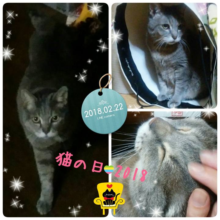 09c295b1 7f33 458b 944d 9f624b27a401 1519306454396