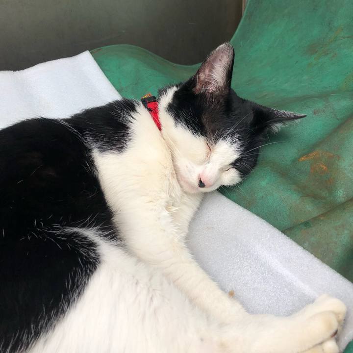 09c2ba28 29ab 4813 8c43 0b25edf3a06b 1563106407179