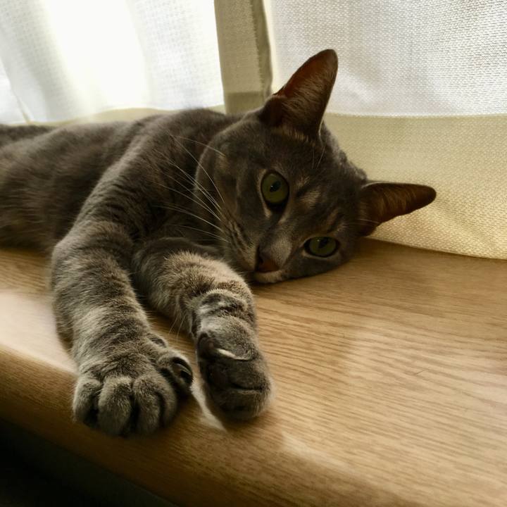 09c2c17a 229d 4578 9c55 98934bf3e1aa 1530434794657