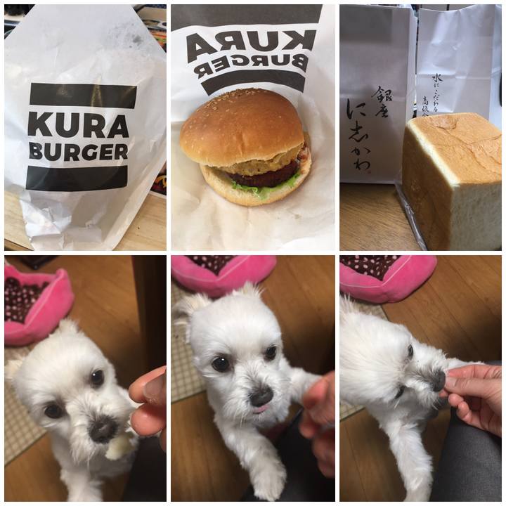 09c2c3e3 c5f0 4a2b a674 e355f39c2fdf 1552464131300