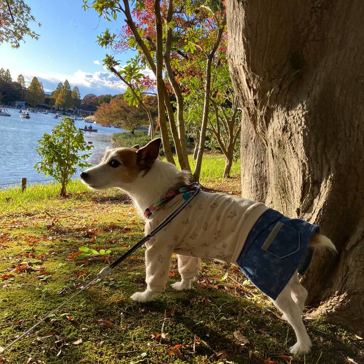 09c2daa7 508c 442c 87ff 345bbcc92cfb 1700354118648