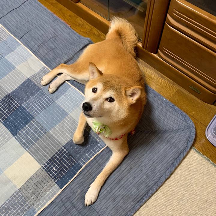 09c2f3fc 412c 4035 852c 3267cfdf2b3d 1600857075891