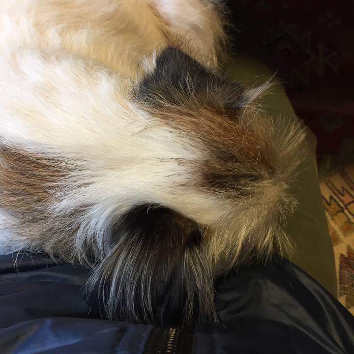 09c3163e 7f0d 4f31 b373 245529f3fdeb 1511498743348