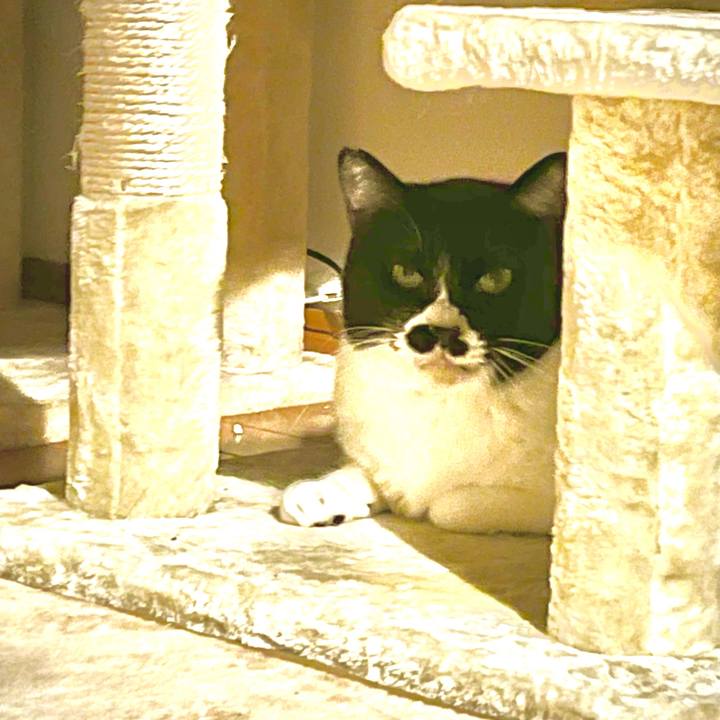 09c33bb1 4dc8 4c5c b2b4 18c59de47f9e 1706487975920