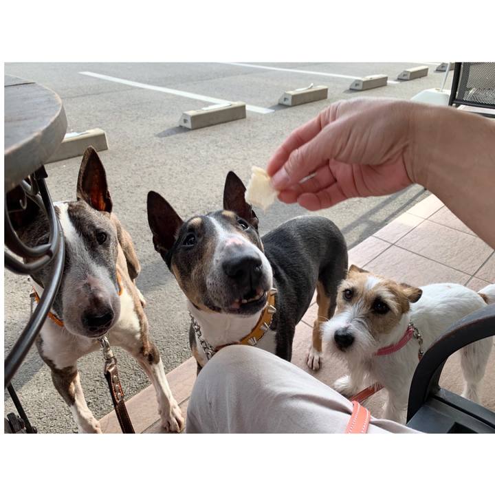 09c35066 9506 4db1 b8b7 f7840be8a410 1588509248440