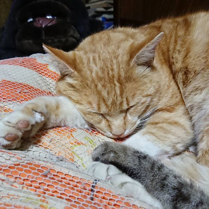 09c352f4 7d1c 468c a16a f521d551555e 1586694260194