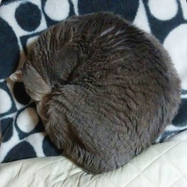 09c36ef4 ca0e 4b0b 80e3 b72800c2afd5 1588760628876