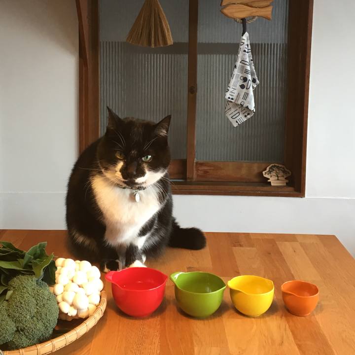 09c38d57 a07a 4d4e 87d2 b42c736f0de1 1513423549370