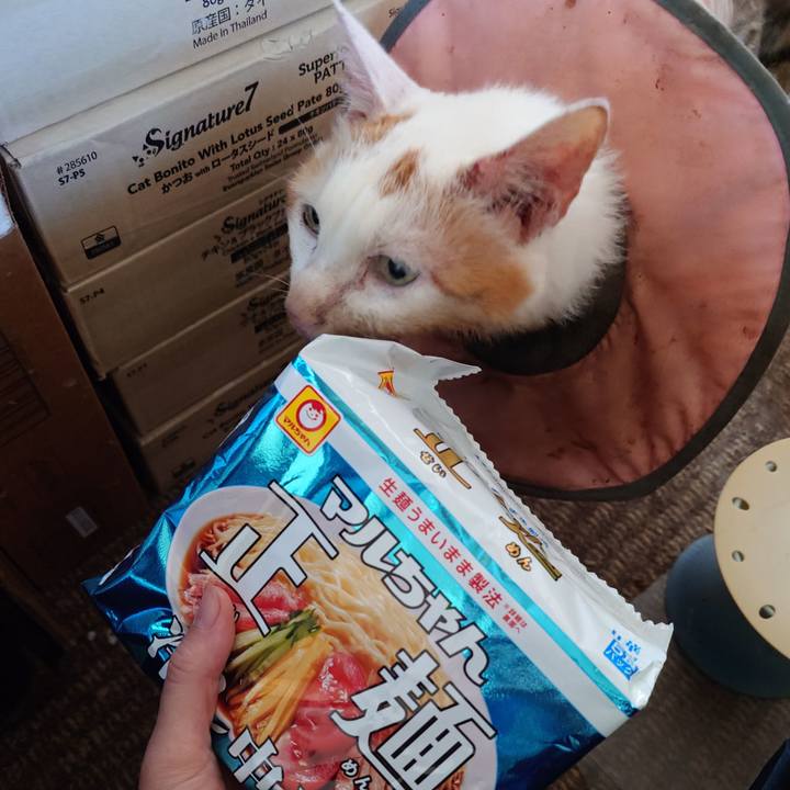 09c3ae99 3b78 4bab 8f1b 4ad0cb720b23 1760666494102