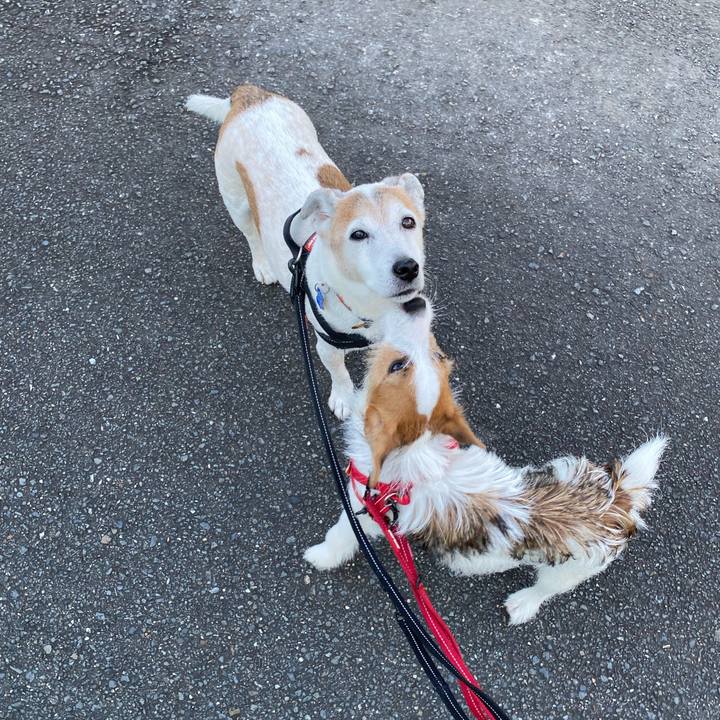 09c3aec3 b3f6 4476 b589 1a26ba623455 1633134813115