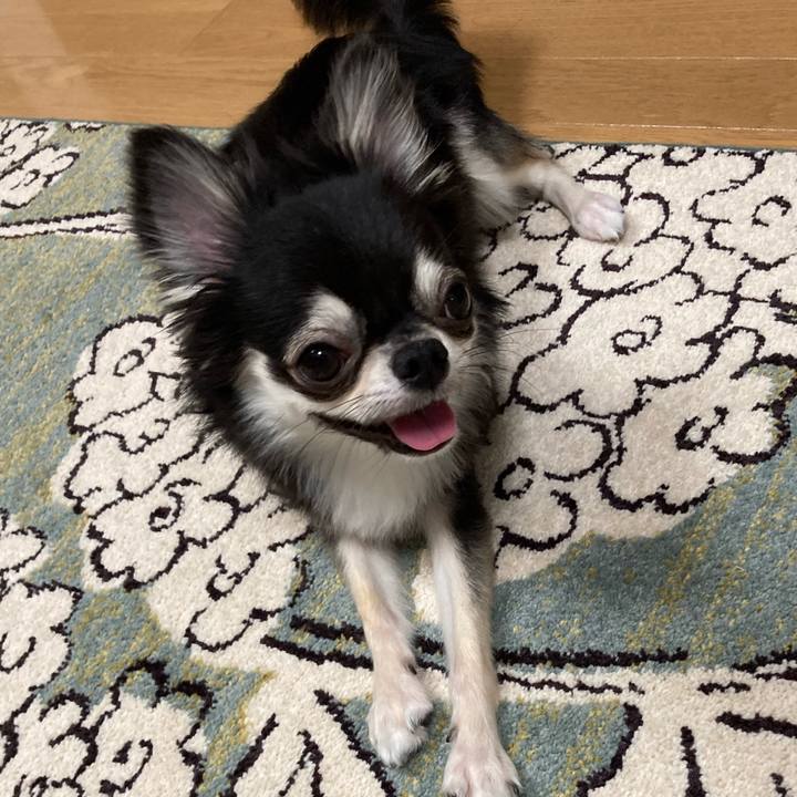 09c3da1f 21c7 416a 9db2 7db96ab83981 1628431792575