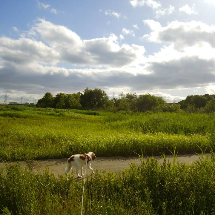 09c40e7a cdac 4f5c 8963 381240af6960 1526730842828