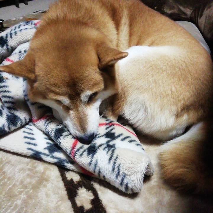 09c41b26 3284 4416 8c63 bdef9f0b2363 1608333038436