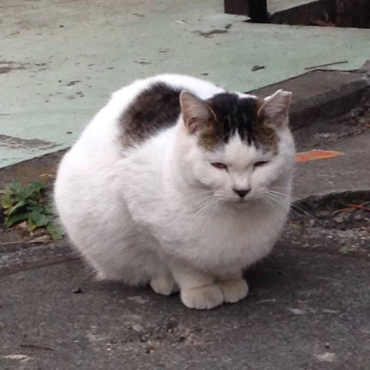 09c422f1 a3e2 428a a892 3b7b134f006c 1513369005733