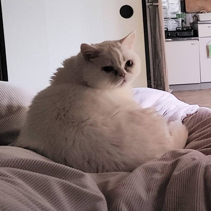 09c4381e 5bfa 4e1f 8e78 60081f6b8bc7 1763675684150