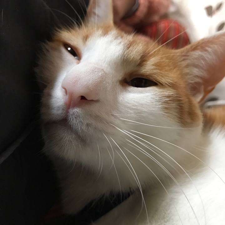 09c43b8f 912d 431a 8234 e06c2af07ec9 1523178192544