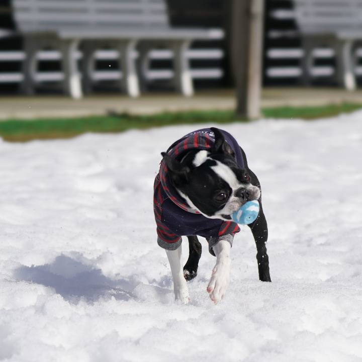 09c43e50 635a 4d38 a705 292ea2066ec9 1517630771894