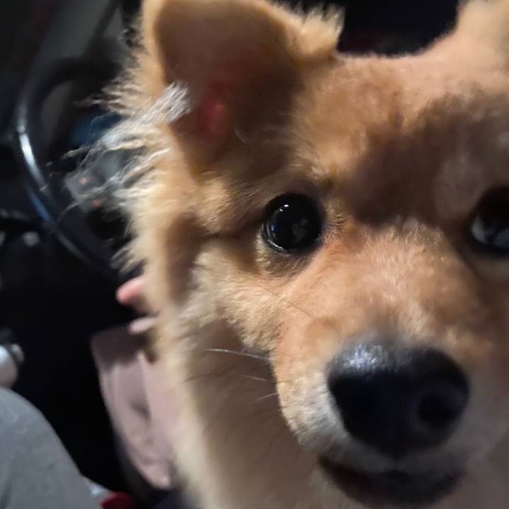 09c442f0 46c4 4e30 94e7 b4ace4d95c37 1589892115756