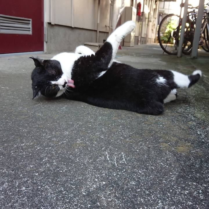 09c4562f fab5 43c4 a200 6a4f51d18c71 1599609408406