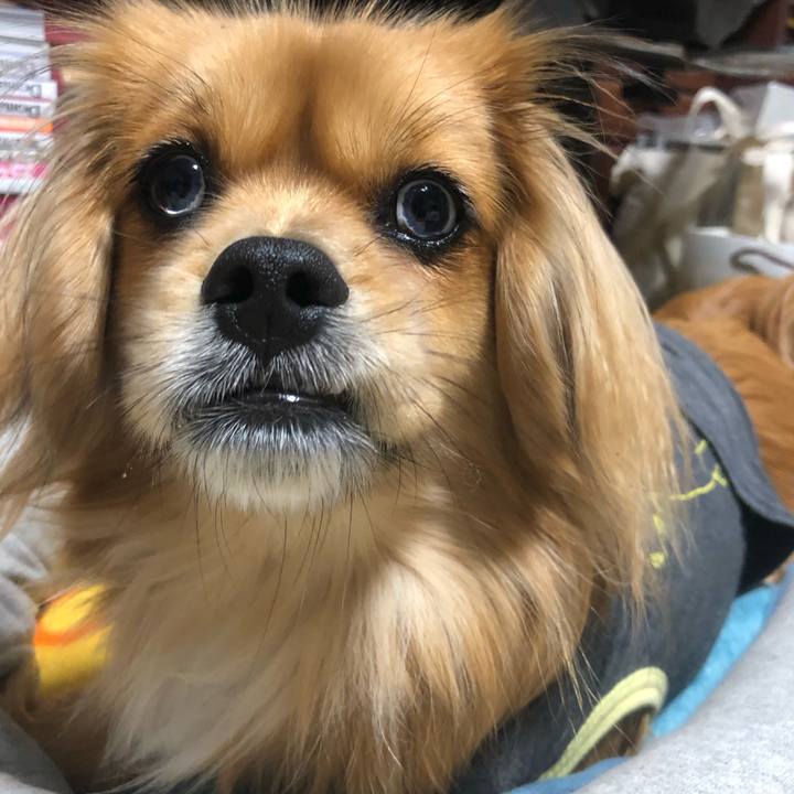 09c47e09 e5a4 4ffc 9fff f39b20639ff2 1548367256781