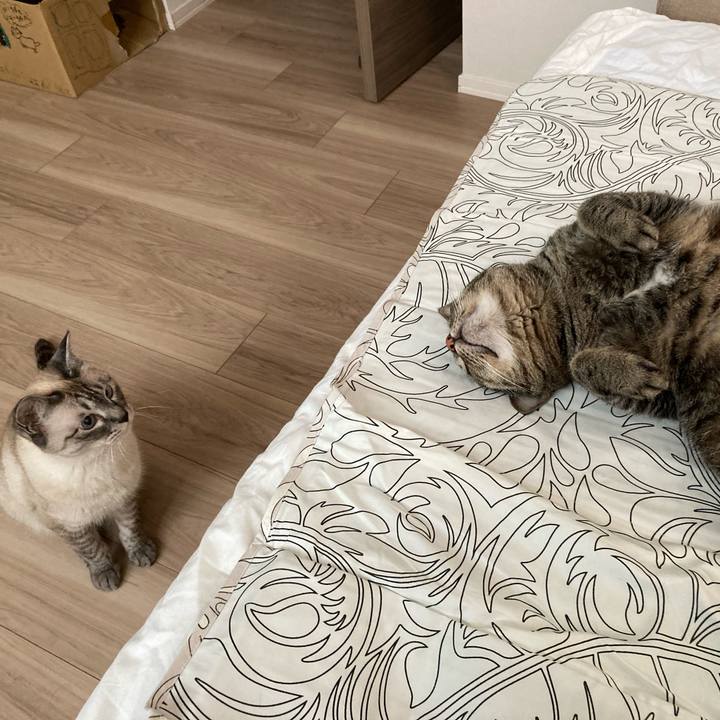 09c487c5 8d48 472e 84e8 57b3f54bcd48 1623714712782