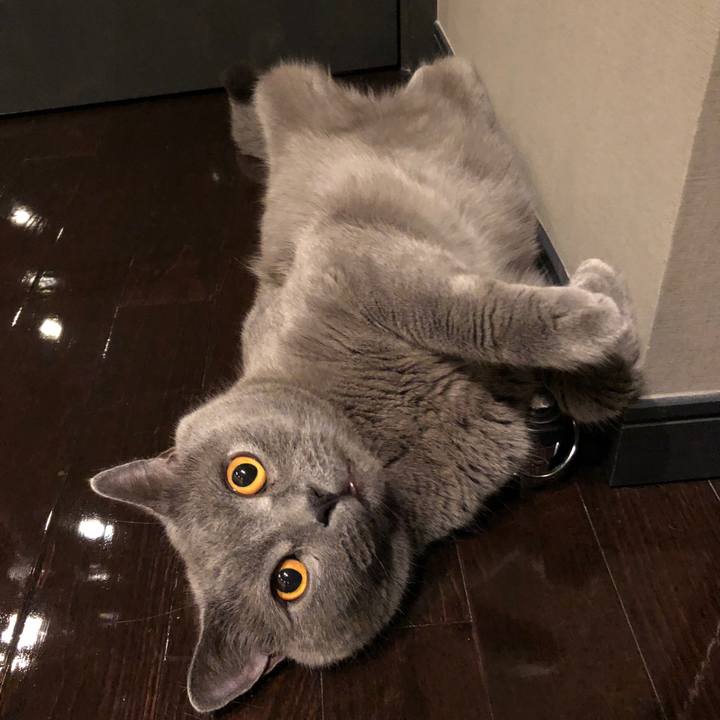 09c4aa3c 2c51 455d a18e 6f6c5c3a66fa 1532874426949