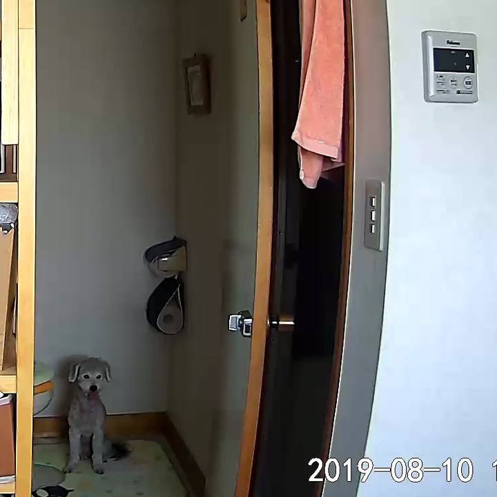 09c4ea09 c6fc 4333 b894 56eec3d24eea 1565418083942