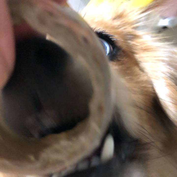 09c4f9a0 dcd1 441e aeb0 73c1a373f7a4 1520686767699