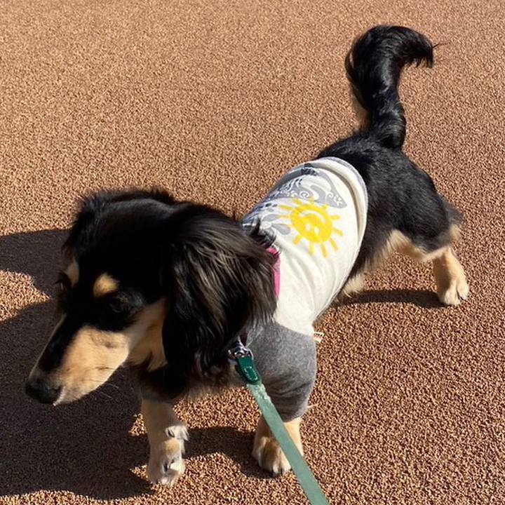 09c50b75 4f04 4bf9 8fb9 9493bba2edf5 1683677300607