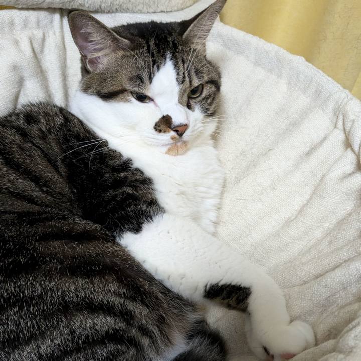 09c52d9f 1079 4de3 a216 b3666a01e250 1727000349188