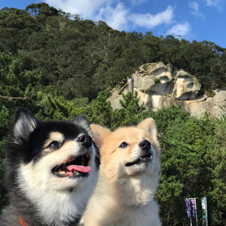 09c56f5e e306 4ad7 a6a5 e415f8ffb3c3 1573644362639