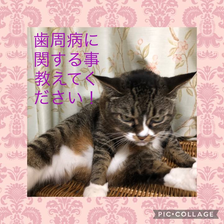 09c57fd0 6534 407c aef0 7546bc7c3669 1662172816237