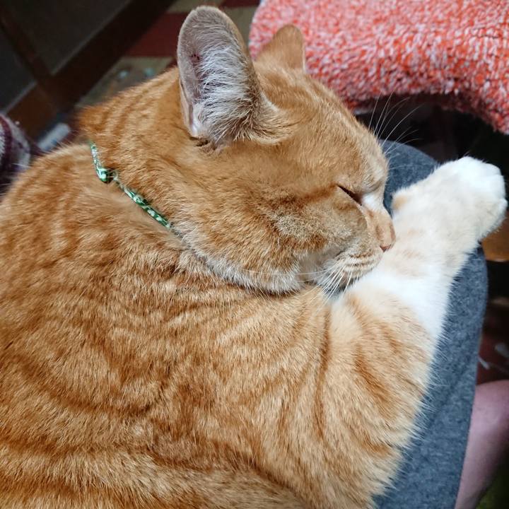 09c58504 b427 4ac9 9579 c493a38f2b1d 1580072514982