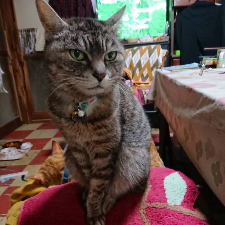 09c5e045 198f 4ca3 82aa 86c3230a2707 1556362922120