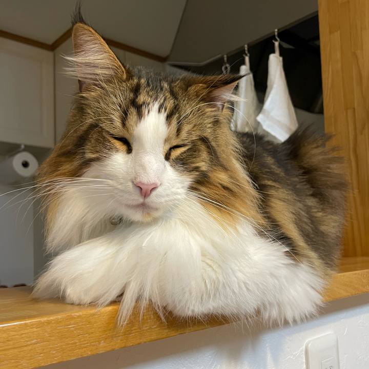 09c6283c 1e00 4c05 9173 968a7bbb8fa7 1669807004595