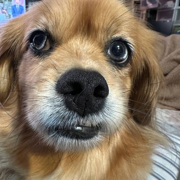 09c670d3 7478 4831 9170 abe8a3972118 1714598145101